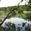 grunewaldsee